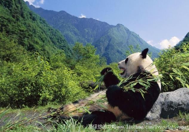 4A�Ĵ��������Ҽ���Ȼ���������ι���