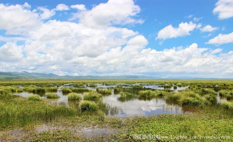 4A�Ĵ������ǻ����羰�����ι���