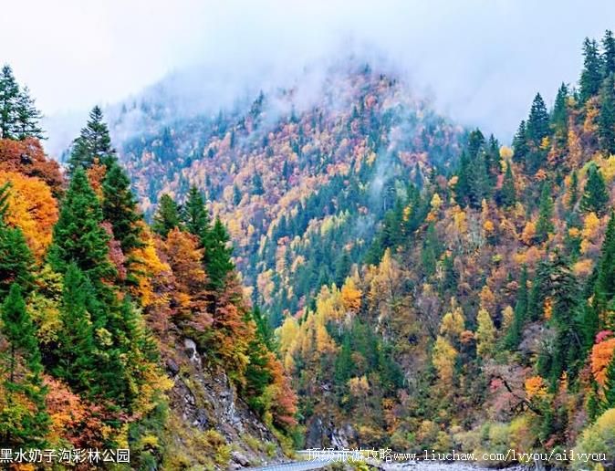 4A四川黑水奶子沟彩林公园旅游攻略