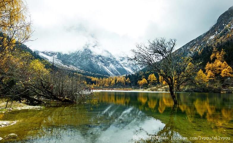 4A四川阿坝毕棚沟风景区旅游攻略