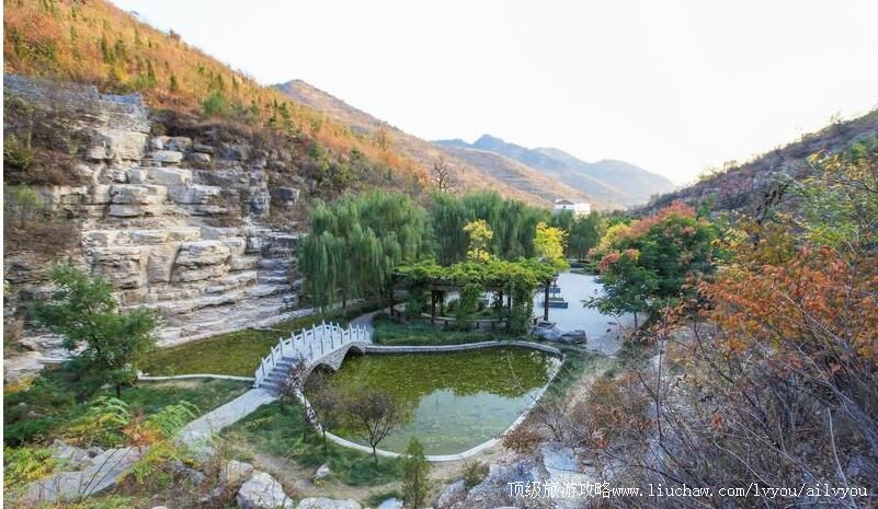 4Aɽ���Ͳ�̶Ϫɽ���������ι���