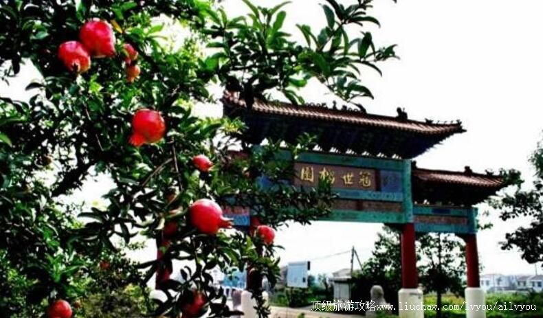 4A山东枣庄冠世榴园旅游区旅游攻略