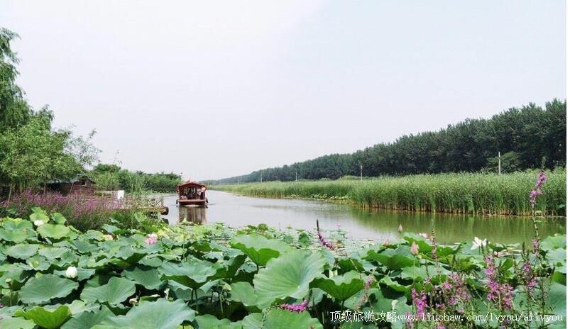 4Aɽ��̨��ׯ�˺�ʪ�ع�԰���ι���