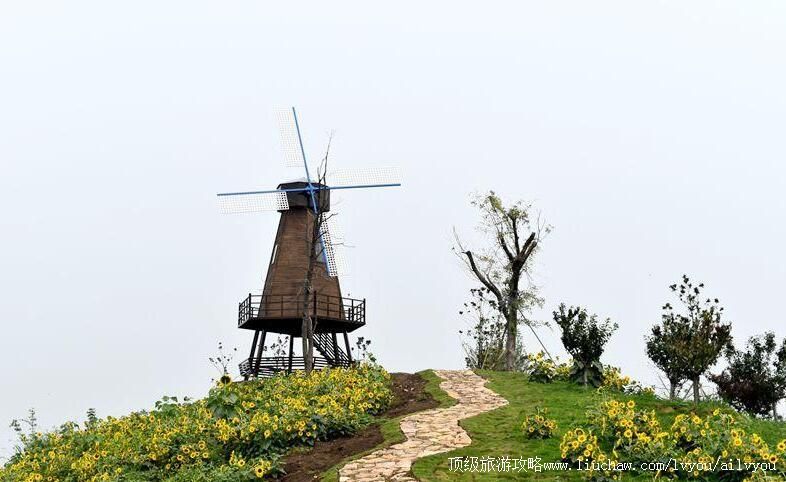 3A山东枣庄祥和庄园景区旅游攻略