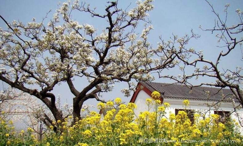 3Aɽ��������Ķ��԰�羰�����ι���