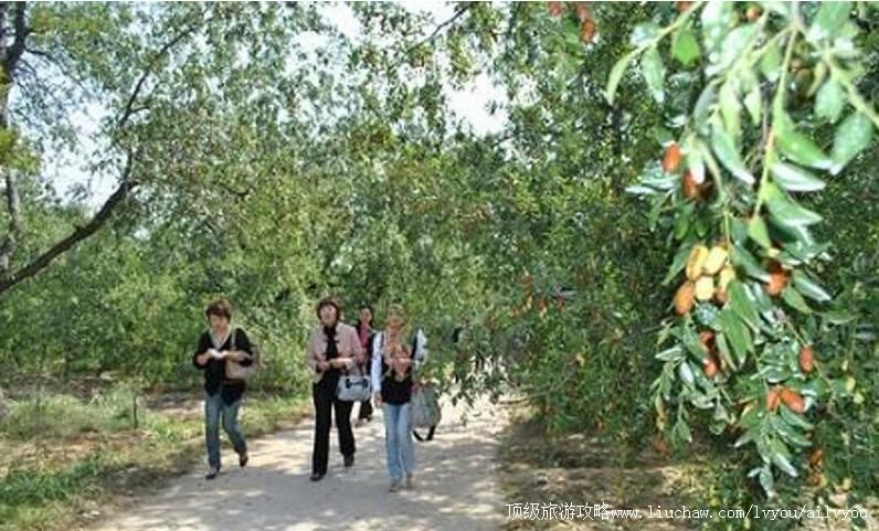 2Aɽ����ׯɽͤ������ũҵ���������ι���