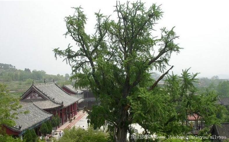 1A山东枣庄甘泉禅寺旅游攻略