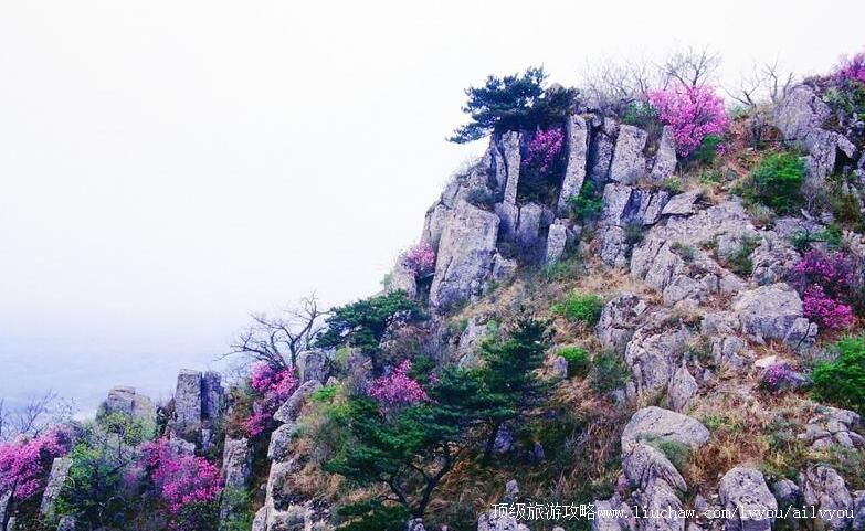 3Aɽ����ϼ��ɽʡ��ɭ�ֹ�԰���ι���