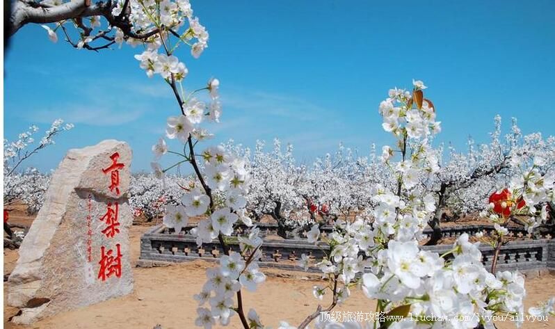 3Aɽ����������������������ι���