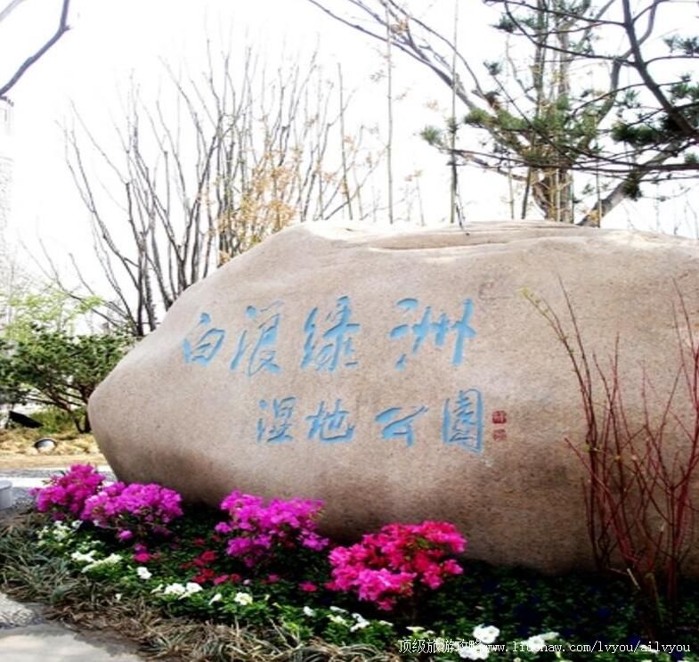 4A山东白浪绿洲湿地公园旅游攻略