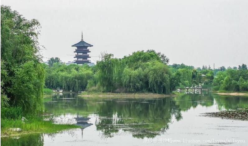 3Aɽ��Ӫ�����ɳ̲ʪ�ع�԰���ι���