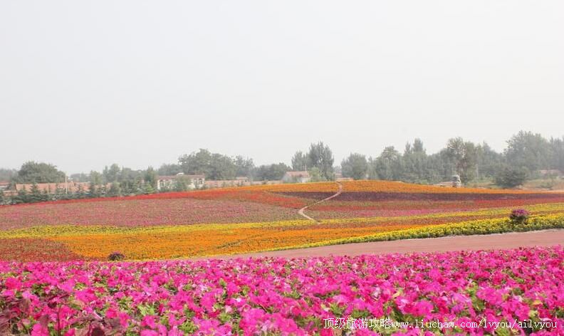 3A山东青州花好月圆景区旅游攻略