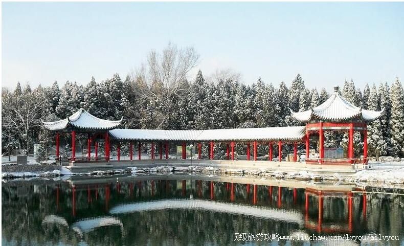 3Aɽ������������԰���ι���