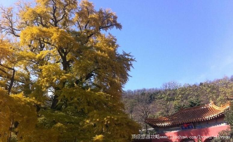 3Aɽ������Ƕ�ɽ��̬���������ι���