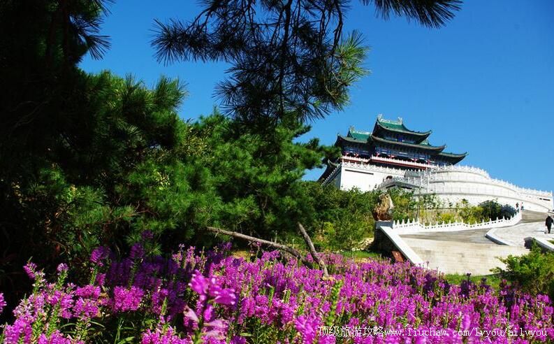 4Aɽ�������ɹö����������ι���