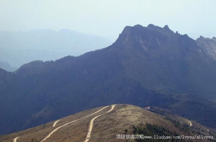 ���������ͷɽ���ι���