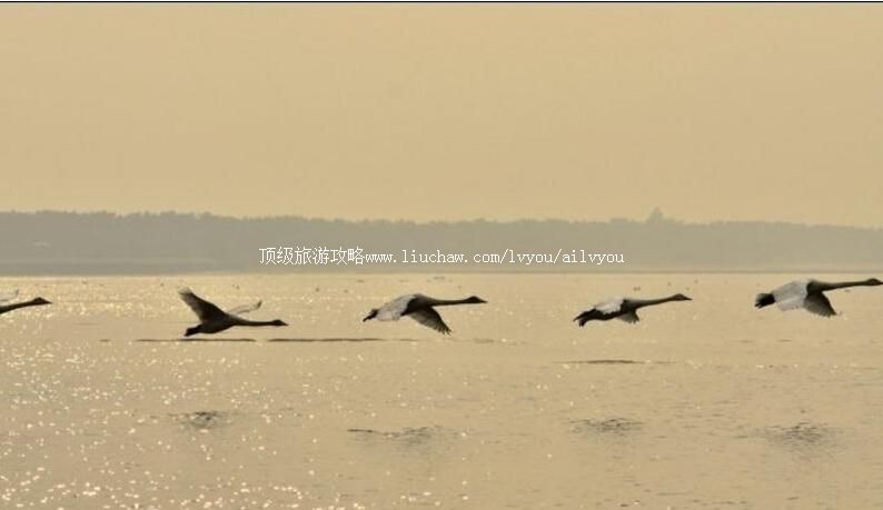 ɽ���ٳɴ������Ҽ���Ȼ���������ι���