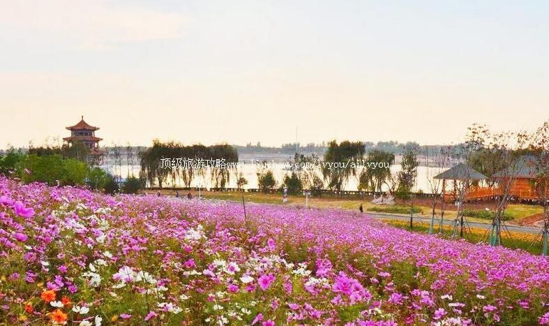 4Aɽ��̩�����ú����ζȼ������ι���