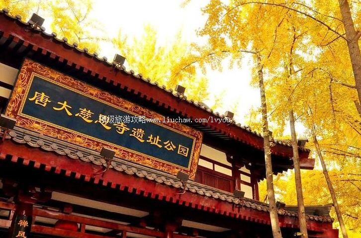 陕西西安唐大慈恩寺遗址公园旅游攻略