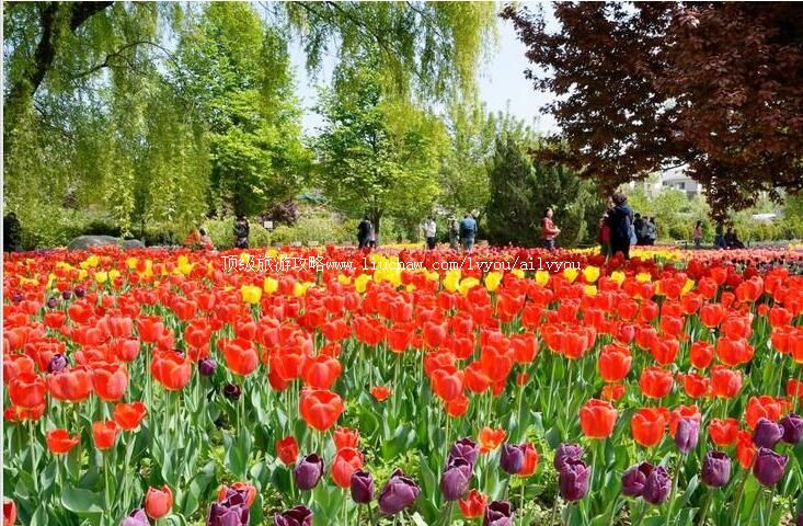 陕西西安植物园旅游攻略