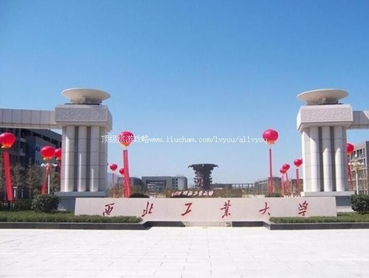 ����������ҵ��ѧУ԰������ι���