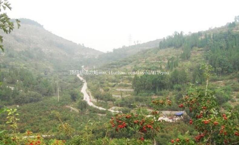 3Aɽ����̩����ɭ�ֹ�԰���ι���