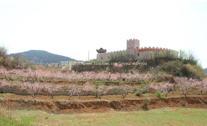 3A山东肥城刘台桃花源景区旅游攻略