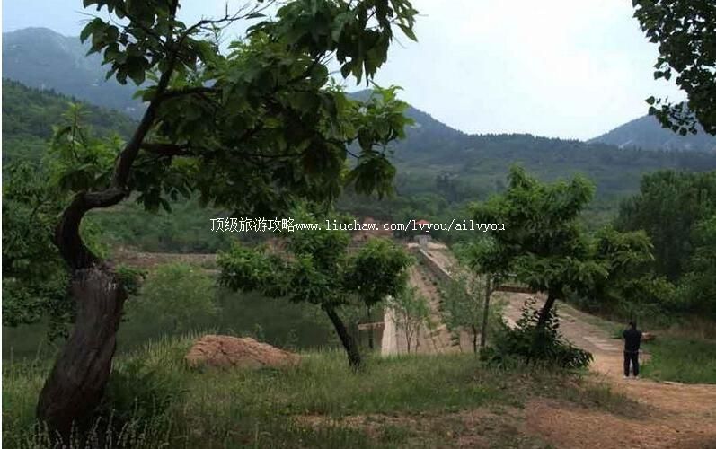 2Aɽ��ţɽ����ɭ�ֹ�԰���ι���