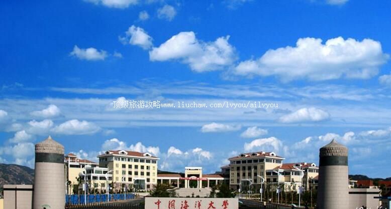 ɽ���й������ѧУ԰������ι���