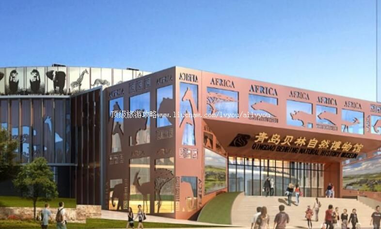 ɽ���ൺ������Ȼ��������ι���