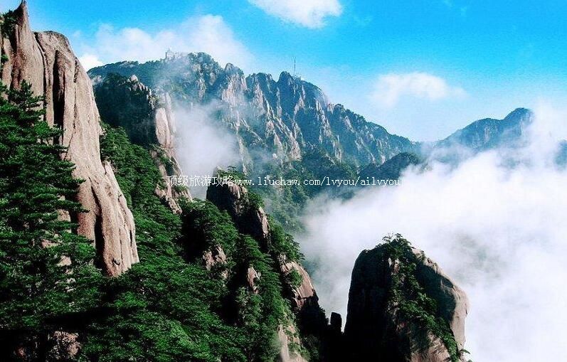 5Aɽ���ൺ��ɽ�������ι���