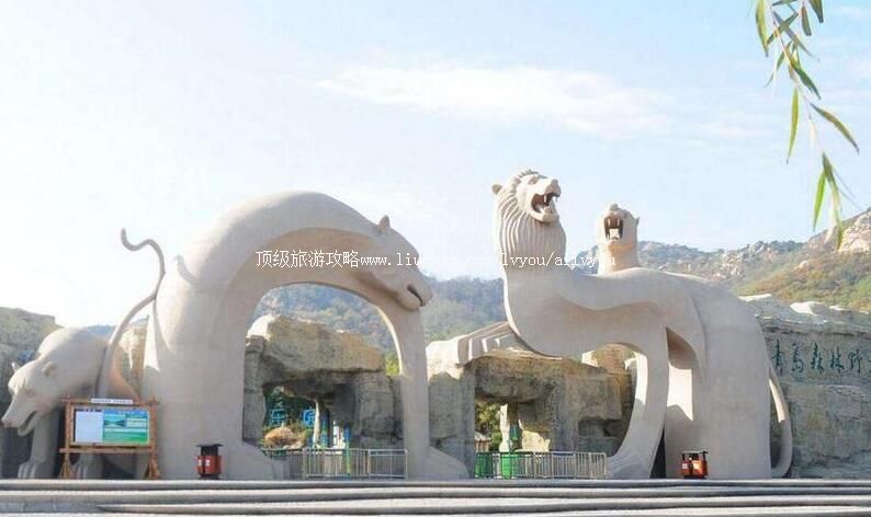 4Aɽ���ൺɭ��Ұ�������������ι���