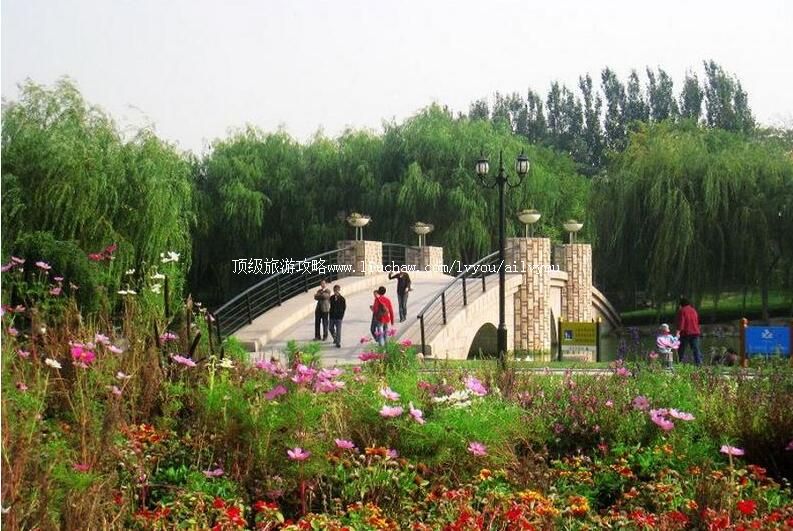 4Aɽ���ൺ����ƥ�˵����Ļ�԰���ι���