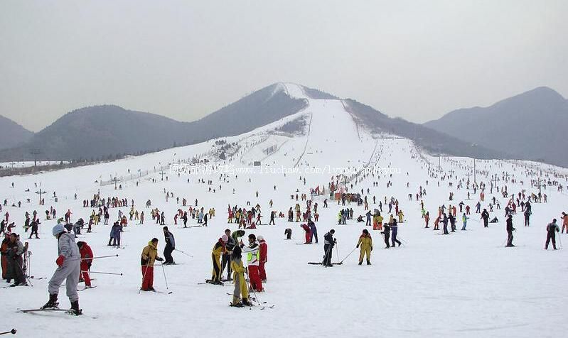 3A山东青岛金山滑雪场旅游攻略