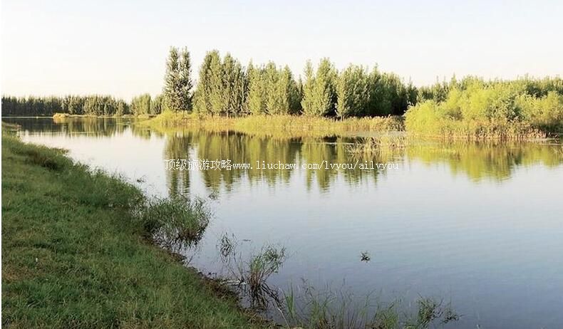 3A山东青岛沽河金岸旅游攻略