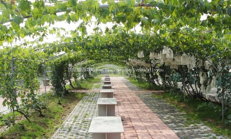 3Aɽ��ƽ�ȴ���ɽ���Ѵ��԰���ι���