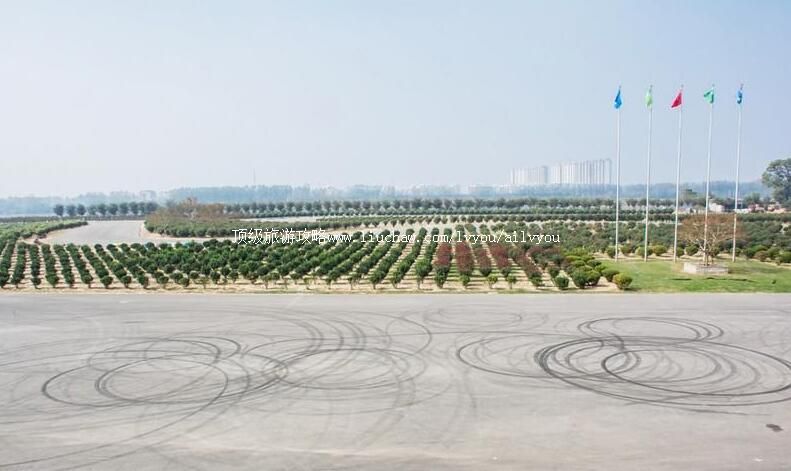 ɽ��������ֱ�������⹫԰���ι���