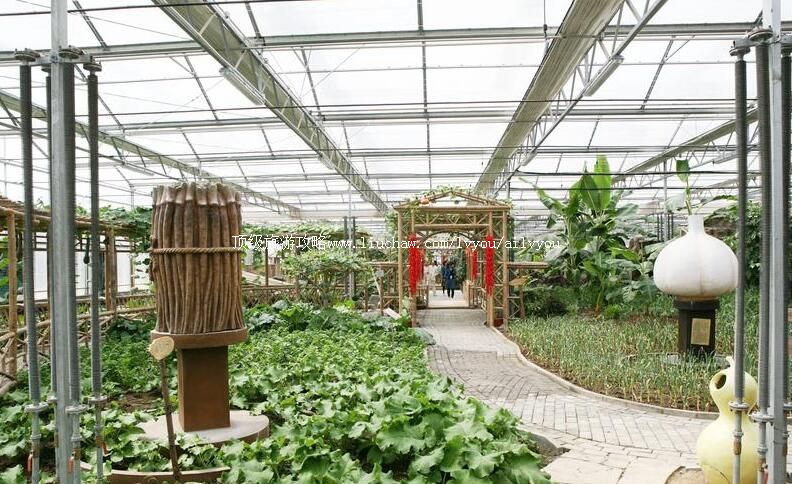 4A山东临沂兰陵国家农业公园旅游攻略