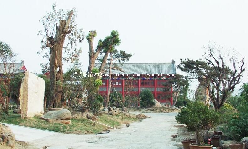 3A山东临沂沂蒙奇园旅游攻略