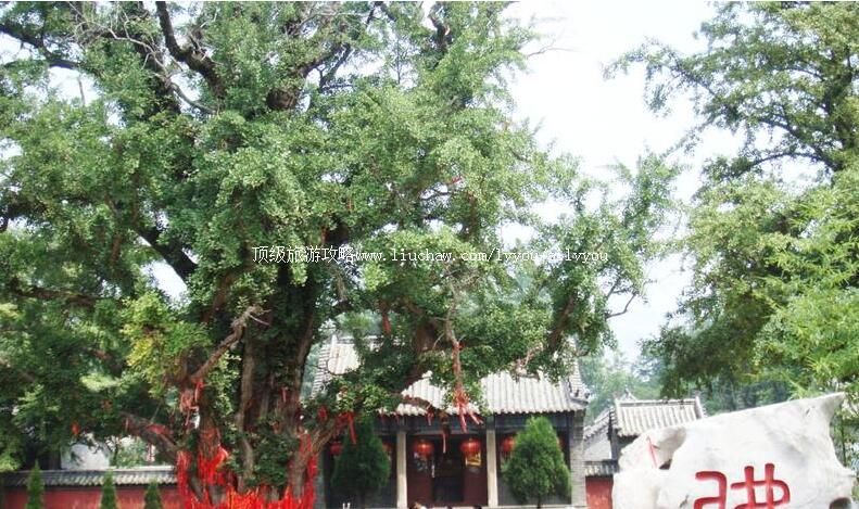 3Aɽ����ˮ��ɽ�����ι���