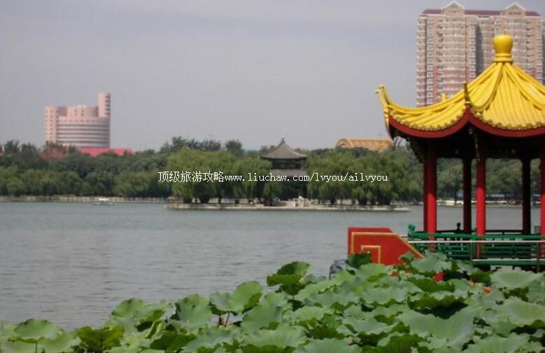 5A山东济南大明湖公园旅游攻略