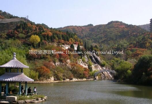 4Aɽ�����Ϻ�Ҷ����̬�Ļ����������ι���