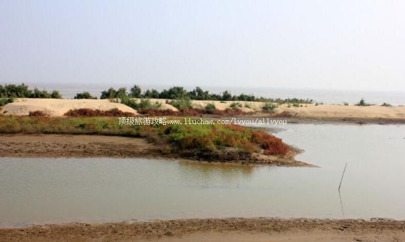 ɽ�����ǵ̵���ʪ�ع��Ҽ���Ȼ���������ι���