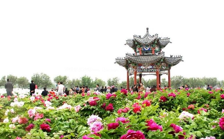 4Aɽ���������ĵ��԰���ι���