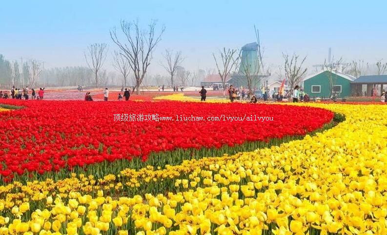 4Aɽ�������ػʺӹ�԰���ι���