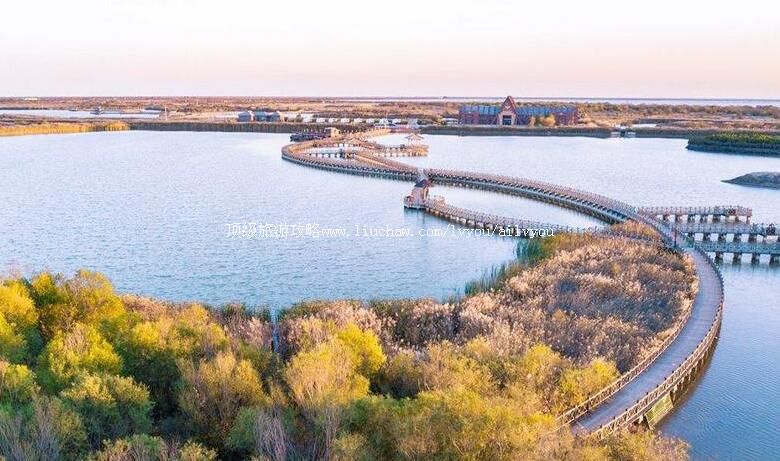 5A山东黄河口生态旅游区旅游攻略
