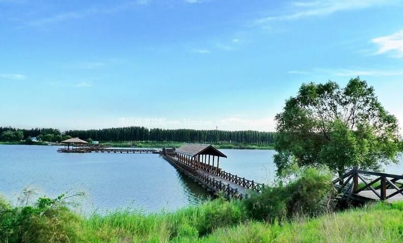 4Aɽ����Ӫ��������ζȼ������ι���