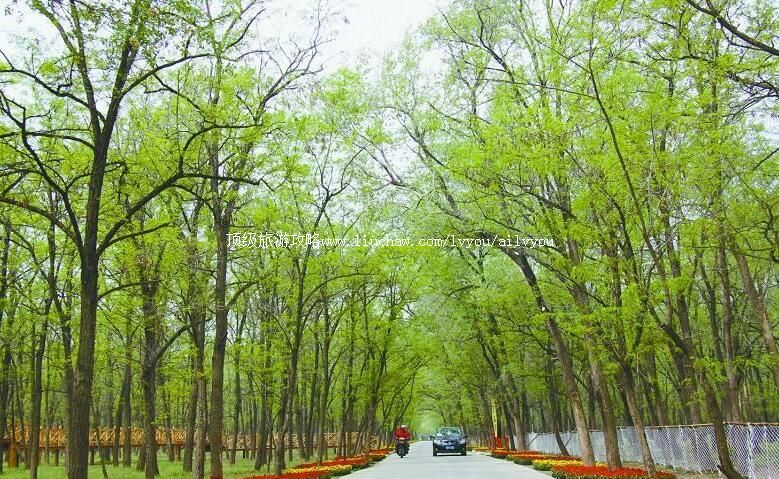 4Aɽ����Ӫ�µ���������Ȫ���������ι���