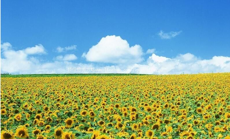 3A山东垦利黄河华滩生态公园旅游攻略