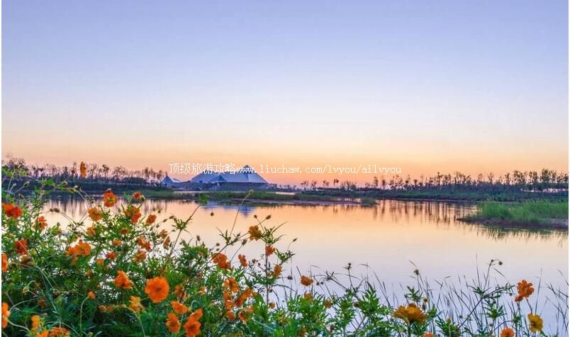 3A山东东营园博园旅游攻略